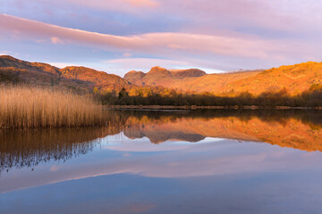 Fototapeta na wymiar Mirrored reflections in calm lake with golden light from sunrise on mountain tops. Elterwater, Lake District, UK.