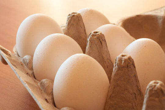 Chicken eggs in factory open packaging