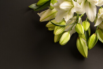 White beautiful and fresh lily flowers on grey background