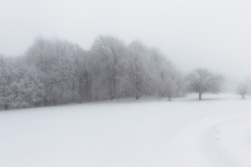 Fototapeta premium Winter. Beautiful winter landscapes. Uludag National Park. Bursa, Turkey.