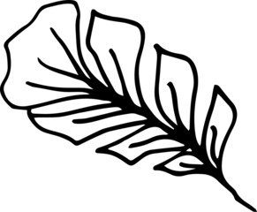 Feathers boho style. graphic illustration hand-drawn, vector. Print, textile, vintage, retro, doodle, sketch.