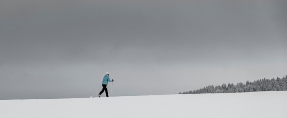 Winter in der Oberlausitz- Ski laufen