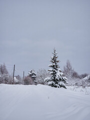 View of frost-covered trees in snowdrifts. Magical winter forest. Natural landscape with beautiful sky. Rebirth of the planet.
