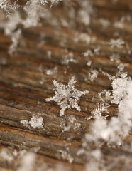 snowflake on a wooden background