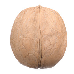 healthy, nutritious walnut on white isolated background, macro