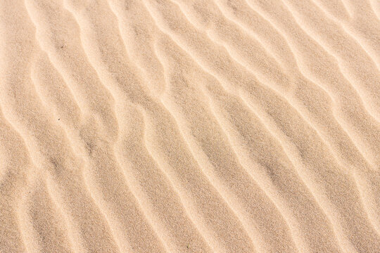Wavy sand close up. Perfect photography for a wallpaper use. Summer atmosphere.
