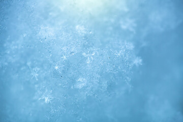 Naklejka na ściany i meble Macro background of fresh snowflake texture