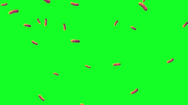 bacterias bacterium falling rain disease covid-19 coronavirus green screen chroma key infection contagion animation 3d