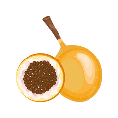 passion fruit delicious fresh fruit nature icon vector illustration design