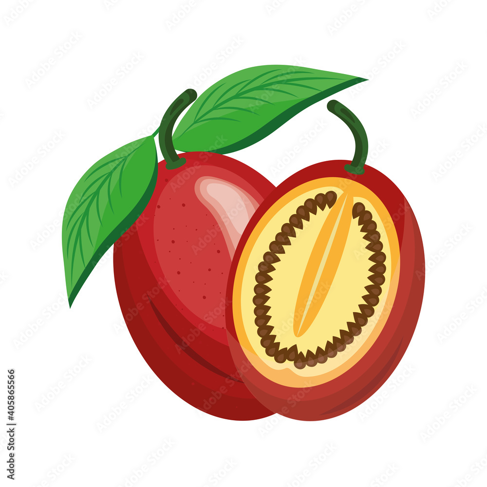 Poster peach delicious fresh fruit nature icon vector illustration design