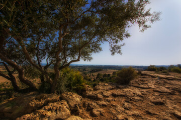 Valley of the Temples, Agrigento, Sicily, Italy