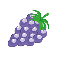 grapes delicious fresh fruit nature icon vector illustration design