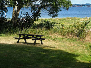 Outdoors Picnic Table made of  wood