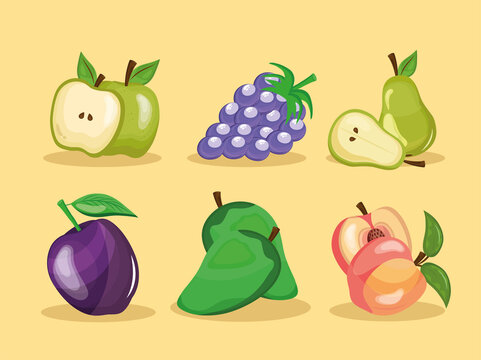 bundle of six fresh fruits set icons vector illustration design