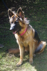 Sentada pensando que voy hacer