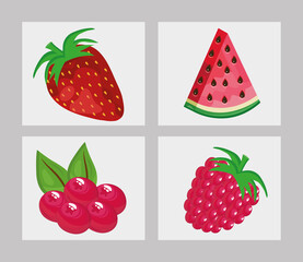 bundle of four fresh fruits icons vector illustration design