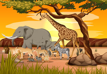 Gruppe wilder afrikanischer Tiere in der Waldszene © blueringmedia