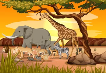 Gruppe wilder afrikanischer Tiere in der Waldszene © blueringmedia