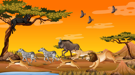 Group of Wild African Animal in the forest scene