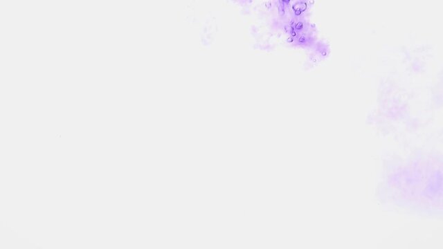 Violet ink spreading in water on white. Abstract color background, liquid smoke, psychedelic and art concept.