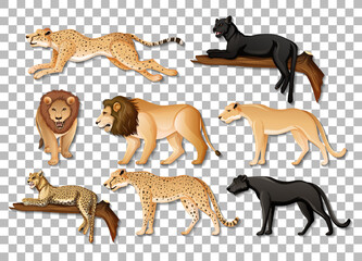 Set of isolated wild African animals on transparent background