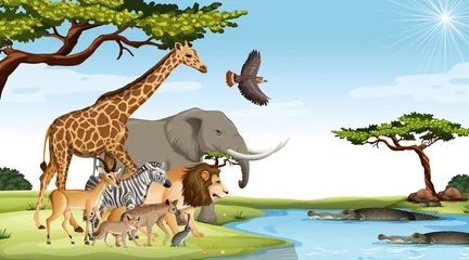 Gruppe wilder afrikanischer Tiere in der Waldszene © blueringmedia