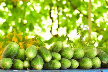 Cucumbers