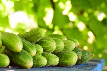 Cucumbers