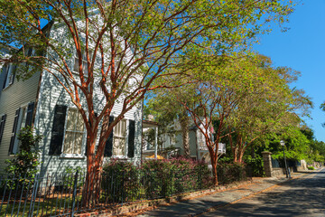 Naklejka premium Southern homes in Charleston, South Carolina