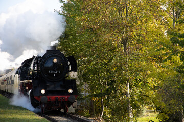 steam train in the forest