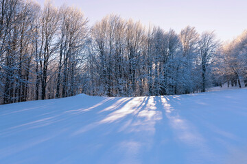 Winter. Beautiful winter landscapes. Uludag National Park. Bursa, Turkey.