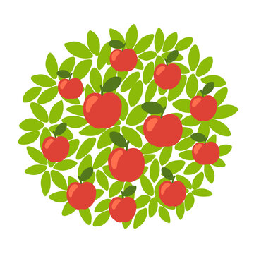 Red apple fruits tree. Against the round background of the crown and leaves. Orchard garden harvest. Vector.