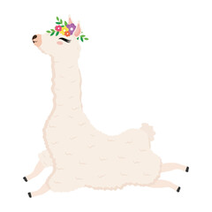 cute alpaca exotic with flowers decoration in head vector illustration design