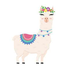 cute alpaca exotic animal with chair and flowers in head and necklaces vector illustration design