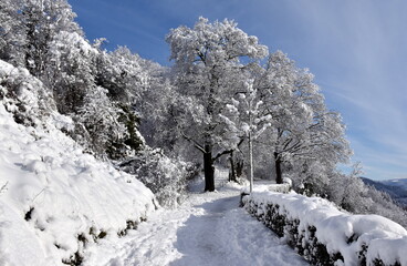 Winterspaziergang auf dem Schlossberg in Freiburger 