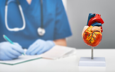 Anatomical model of human heart on doctor table in a cardiology office. In the background, a...