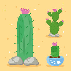 bundle of three cactus plants set icons vector illustration design
