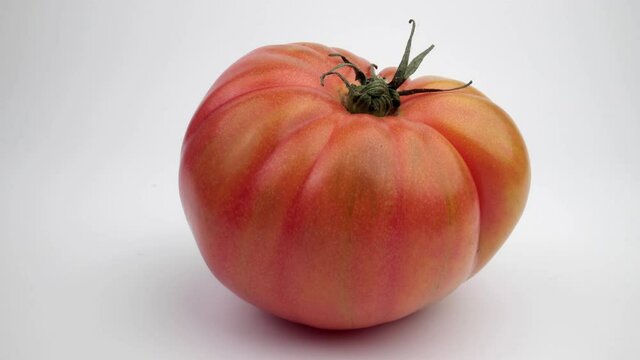 Fresh red raf tomato on plain white background