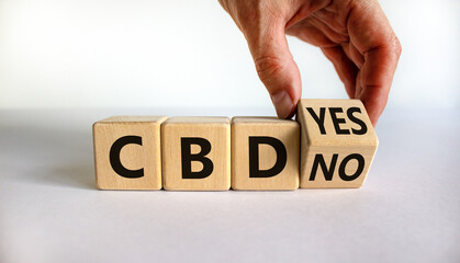 Yes or no to CBD, cannabidiol symbol. Hand turns the cube and changes words 'CBD no' to 'CBD yes'. Beautiful white background, copy space. Medical and CBD cannabidiol yes or no concept.