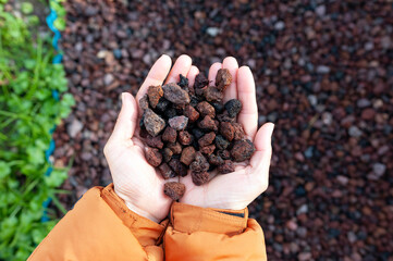 Woman holding something in her palms