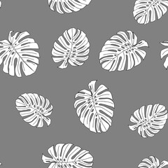 Illustration of white leaves monstera isolated on a gray background. Seamless pattern