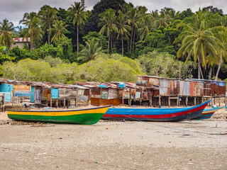 indonesia, Bird's Head Penisula