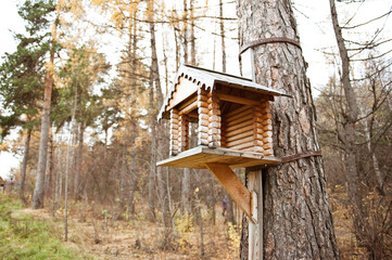 Beautiful bird feeder in the autumn forest.