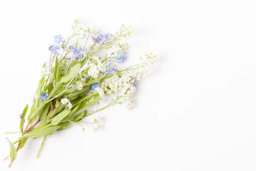 Fototapeta premium Beautiful bouquet blue and white flowers forget me not on white background