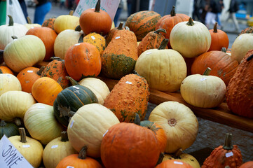 Pumpkins on sale in farmers market, Prauge, Czech Republic