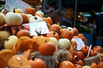 Pumpkins on sale in farmers market, Prauge, Czech Republic