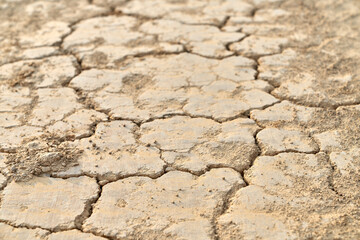 Cracked clay texture brown earth.