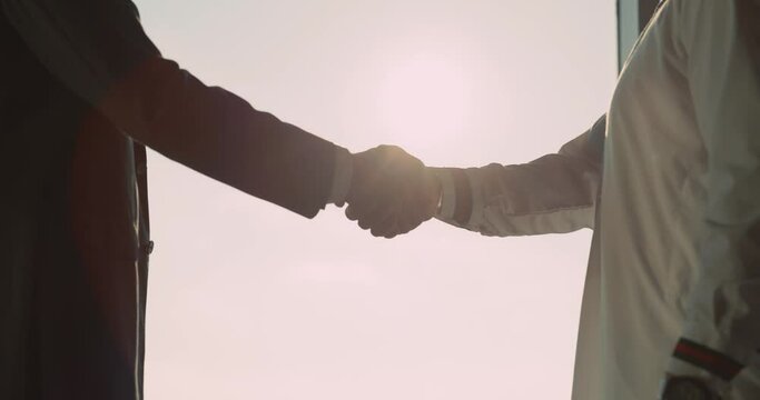 Close-up hands of multi-national interacial business colleagues shaking hands agrre on construction investment in modern office.