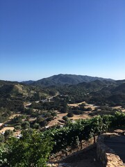 Obraz premium View of Malibu Vineyard