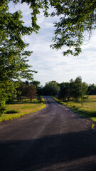 road in the forest